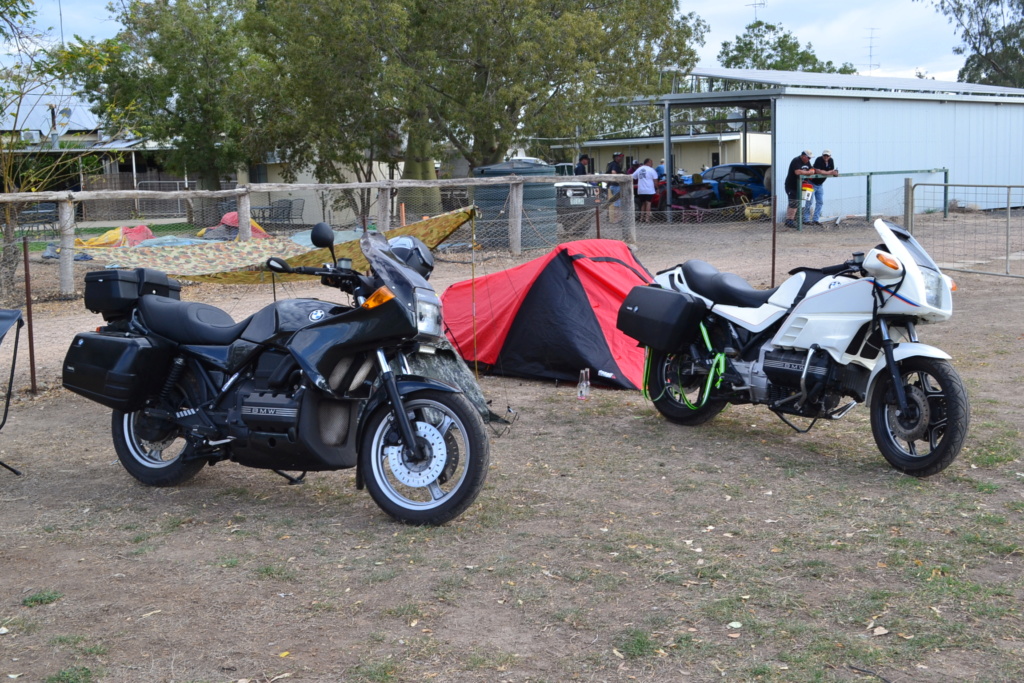 Cane Toad Rally - 2019 - Page 2 Dsc_0013