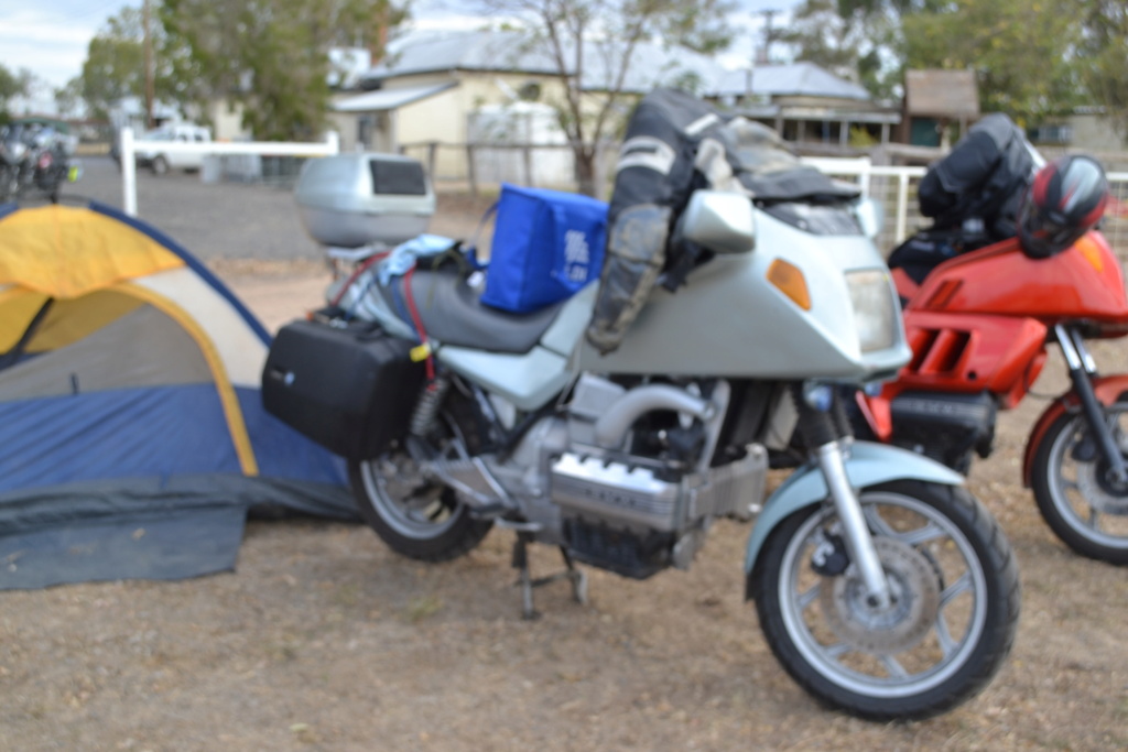 Cane Toad Rally - 2019 - Page 2 Dsc_0017