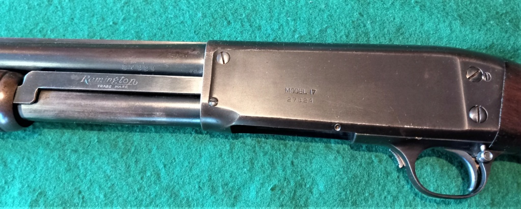 John Moses serait content de moi : Remington model 17 20230214