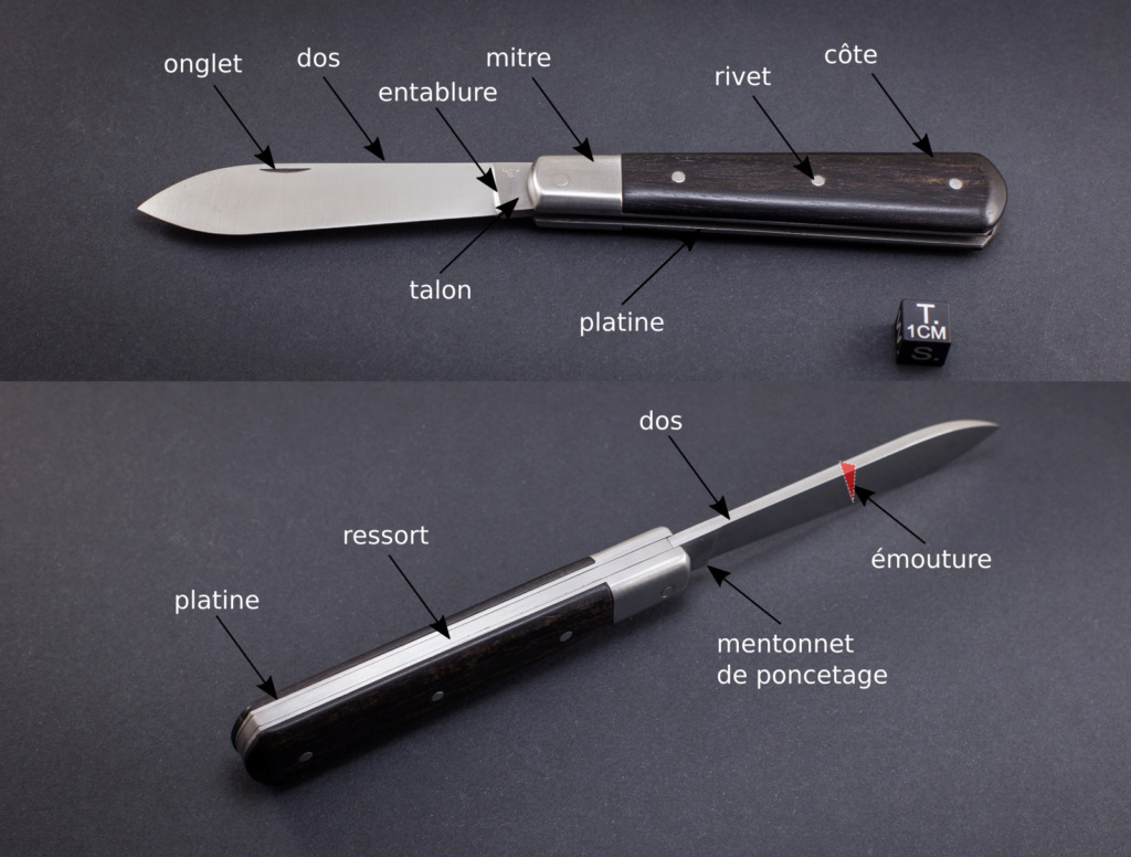 Le point sur les changement des talons et pans creux vers 1852 Anatom10