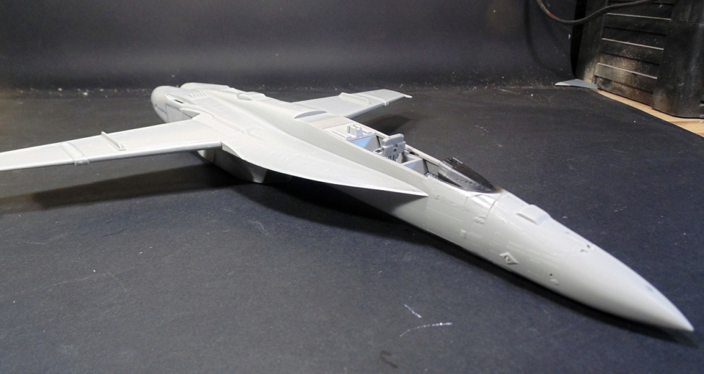 EA18G GROWLER 1/48 hasegawa  210