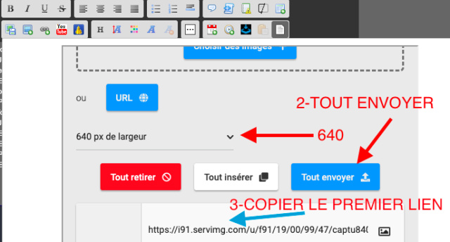 aide pour instal big sur sur un ivy bridge portable  - Page 2 Captu841