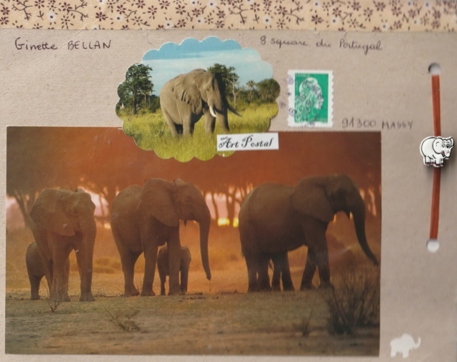 Galerie des ELEPHANTS - Page 4 2018-181