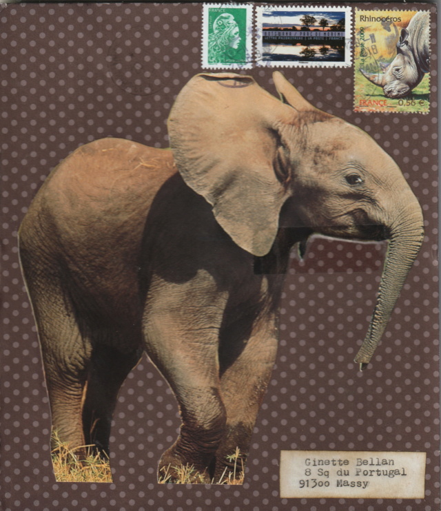 Galerie des ELEPHANTS - Page 4 2018-222