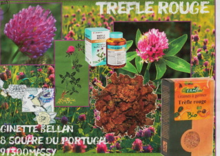 Galerie Epices, Aromates et Plantes aromatiques - Page 2 2018-235
