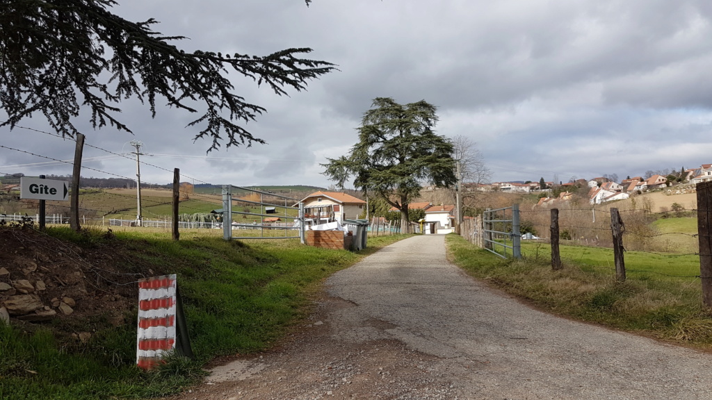 Terrain parachutage réseau Ange-Buckmaster dans la Loire(42) 20190316