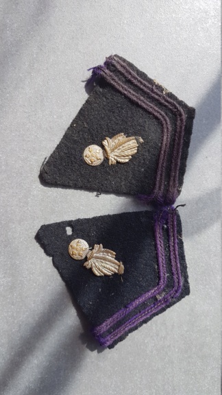 Pattes de col 20200414