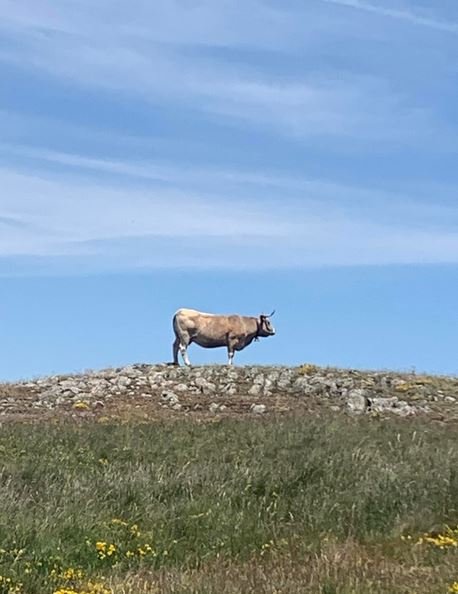 Sortie 2022 en Aubrac du Kreidler RS Team Aubrac10