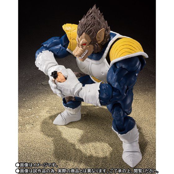 Dragon Ball - S.H. Figuarts (Bandai) - Page 9 15809716