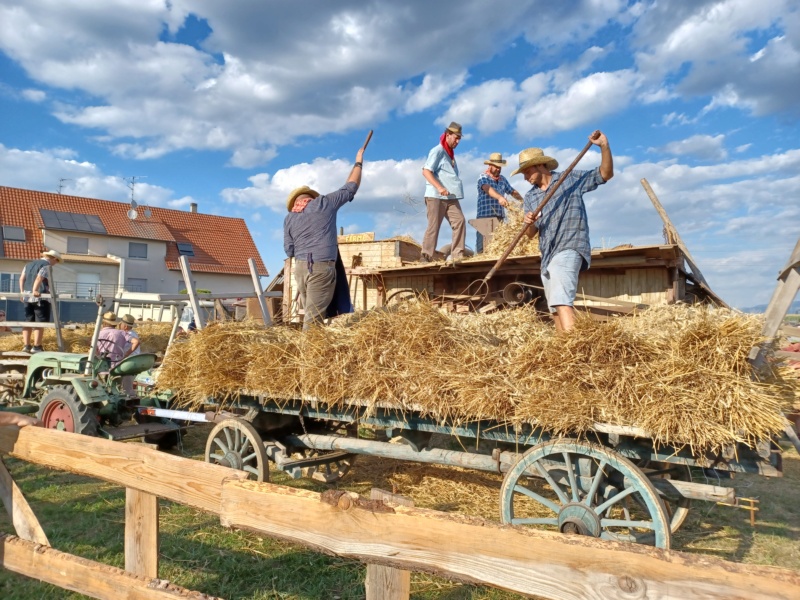 68 - Blodelsheim . Fête de la Moisson, 30 et 31 juillet 2022 20220211