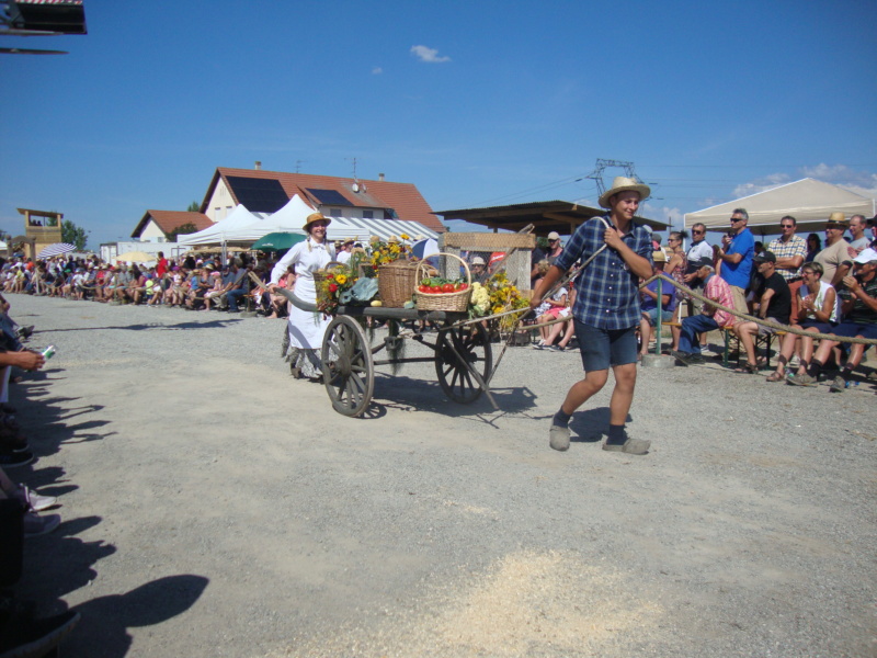  68 - Blodelsheim . Fête de la Moisson, 28 et 29 juillet 2018 Dsc02047