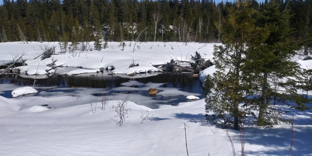 Belle Lanaudière au printemps - 13 avril 2019 20190417