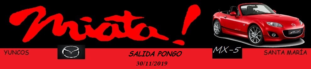 PONGO 2019 Logo_i10