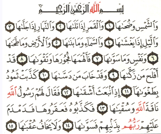  “ قراءة وتفسير” المختصر في تفسير القرآن الكريم . B3e52910
