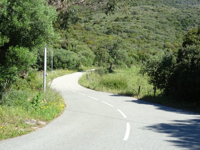 LA CORSICA 2019 113