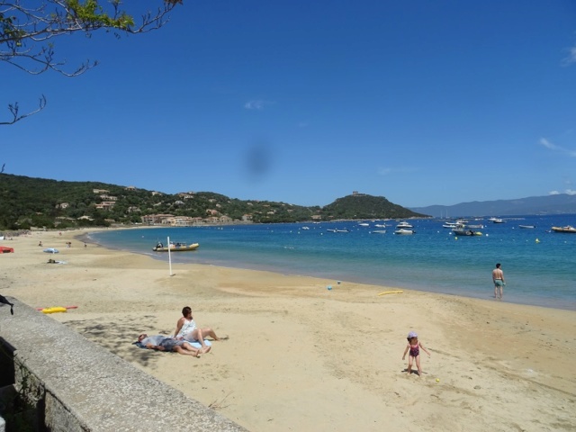 LA CORSICA 2019 55510