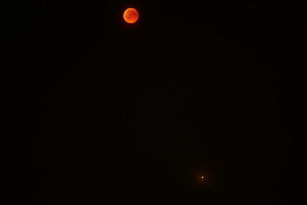 Eclipse de Lune du Vendredi 27 Juillet Dsc00611