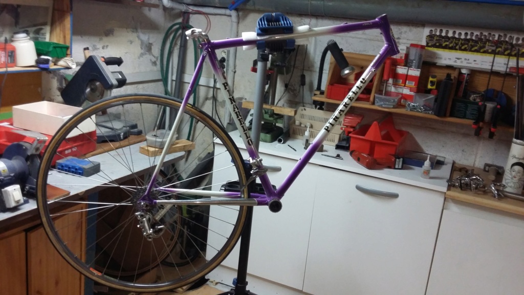 Pinarello asolo 20190813