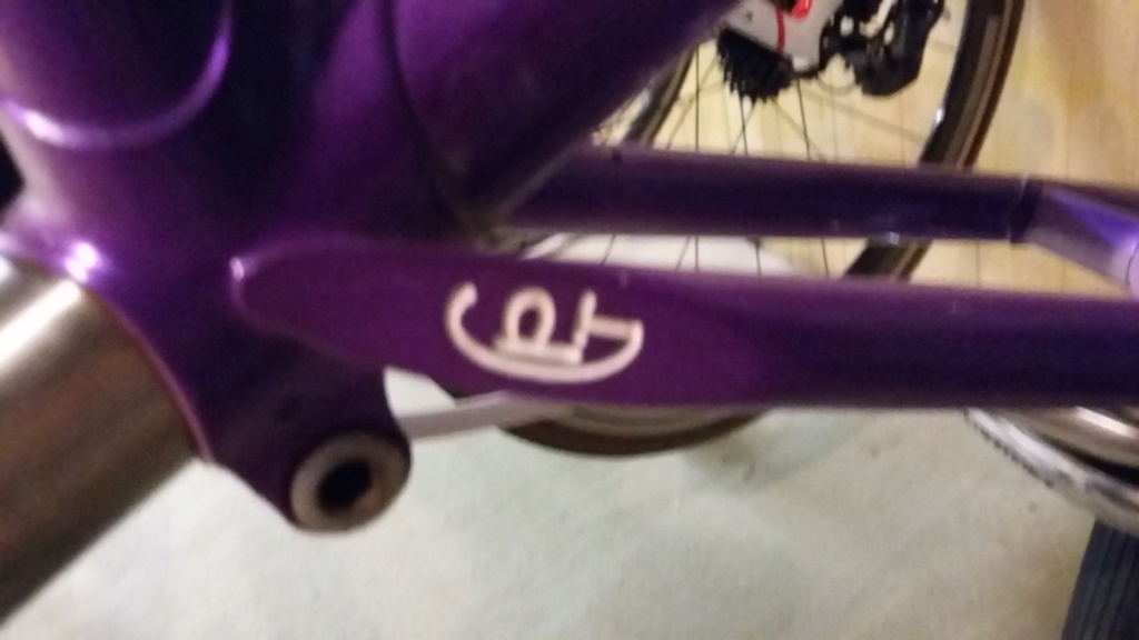 Pinarello asolo 20190914