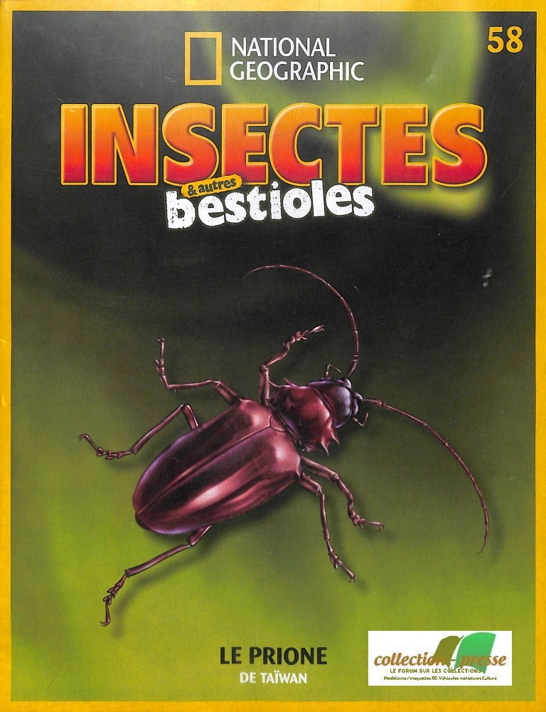 collection Les Insectes et Autres Bestioles M8085-10