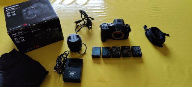 (vendu) Lumix G80 avec Pana 25mm + Leica 12-60 mm + Pana 100-300 Img_2061