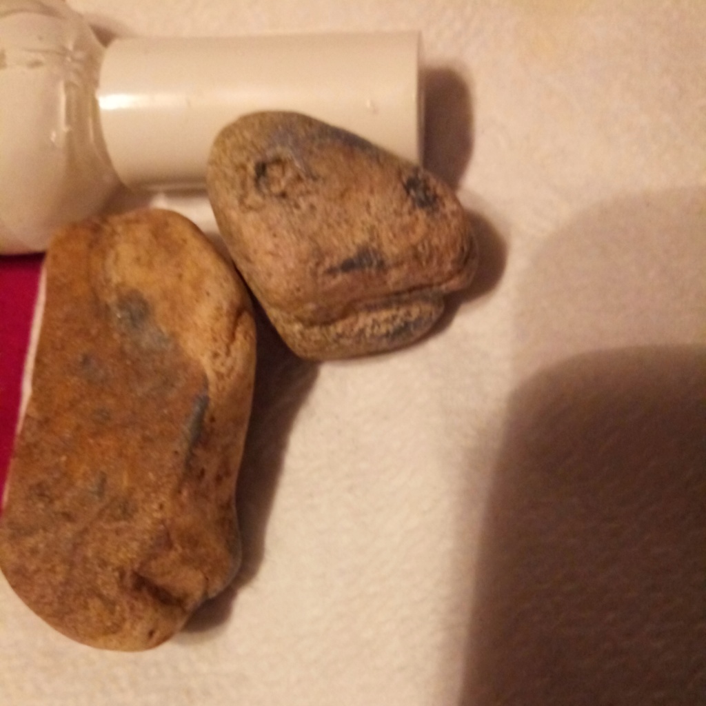 Figure Stone Mesa Arizona found 10/2019 20190914