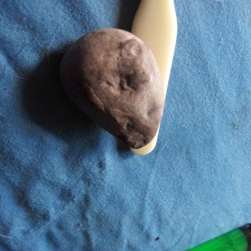 Figure Stone Mesa Arizona found 10/2019 20191012