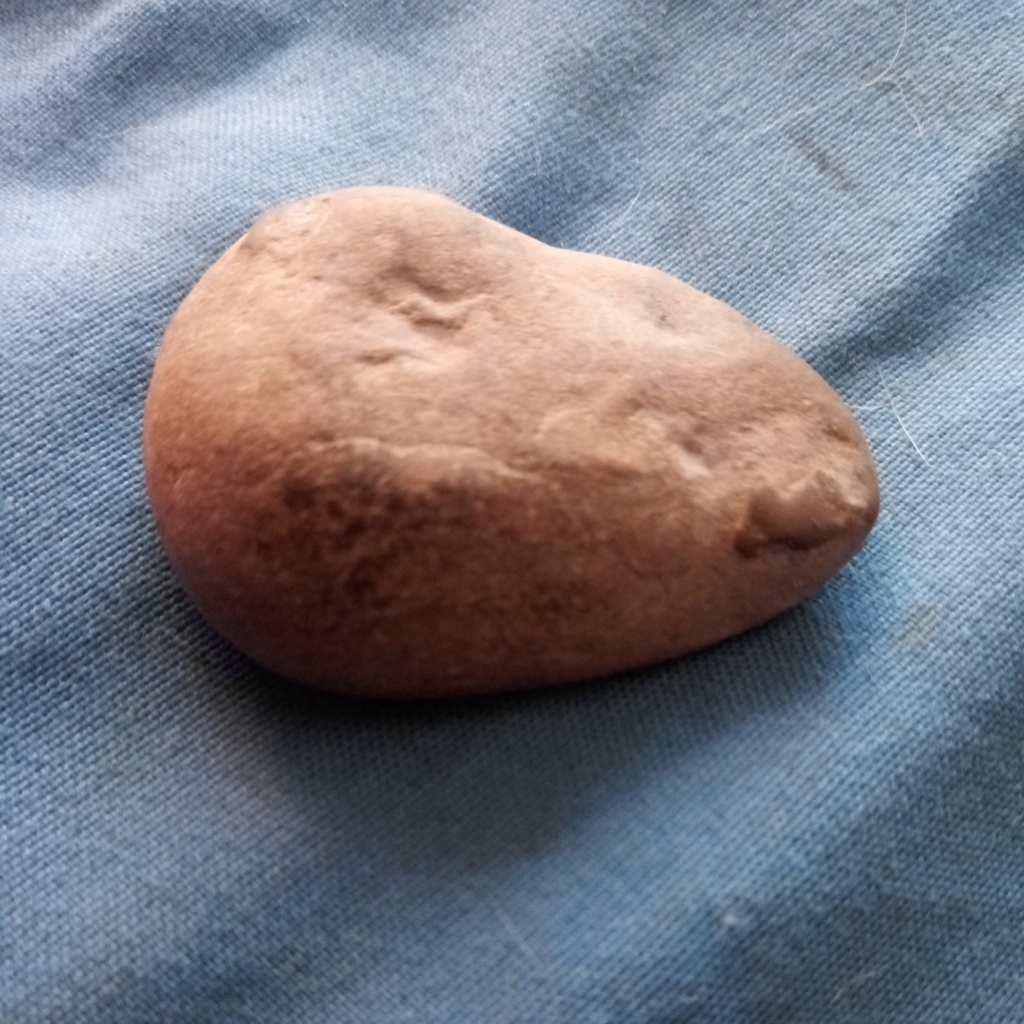 Figure Stones Mesa Arizona found 10/2019 20191013