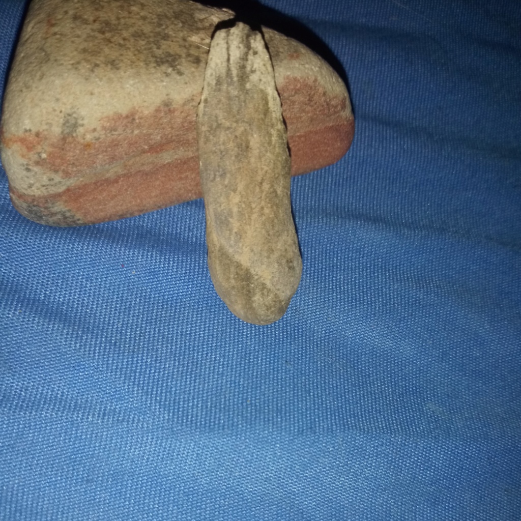Figure Stones Mesa Arizona found 10/2019 20191020