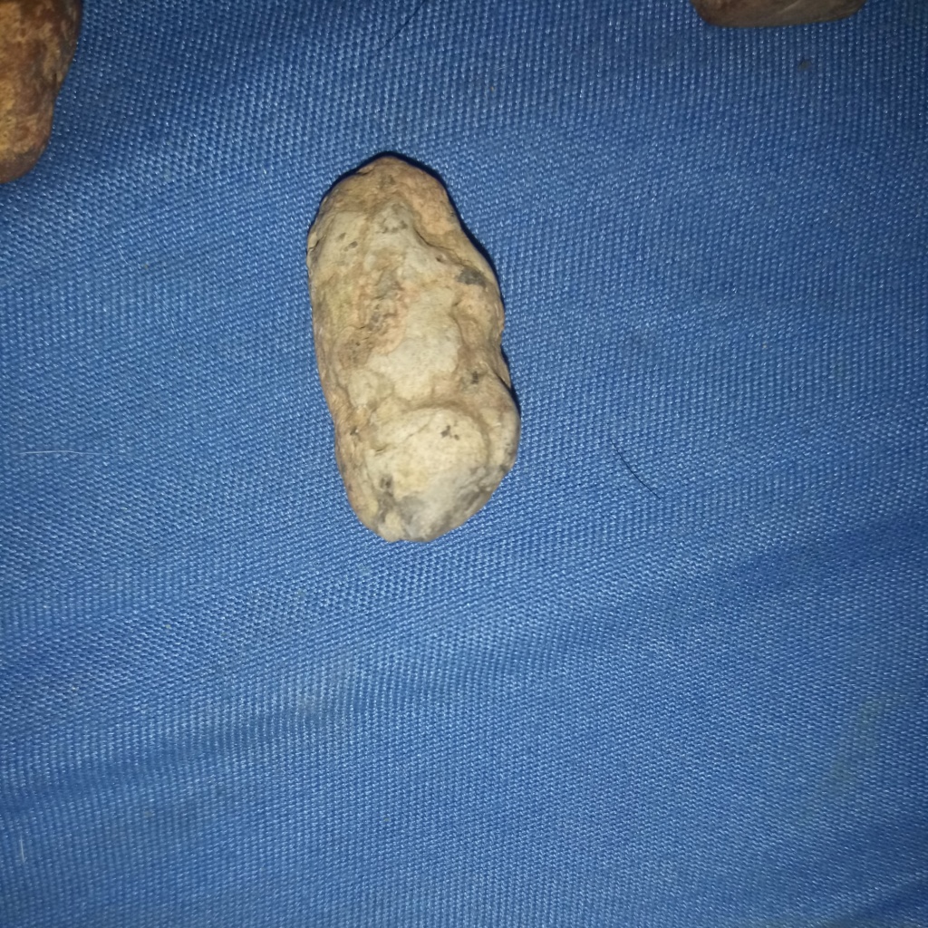 Figure Stones Mesa Arizona found 10/2019 20191021