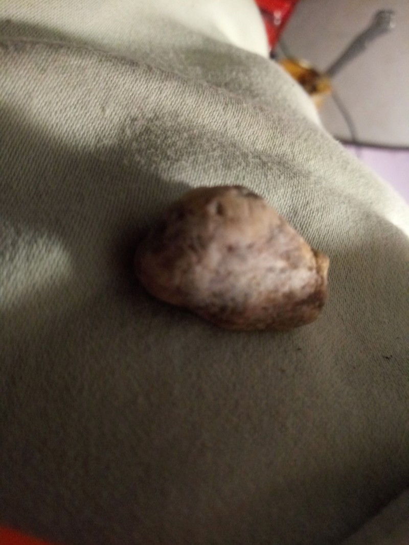 Mesa Arizona figure stone found on original  Apache land Oct 25 2019 20191108