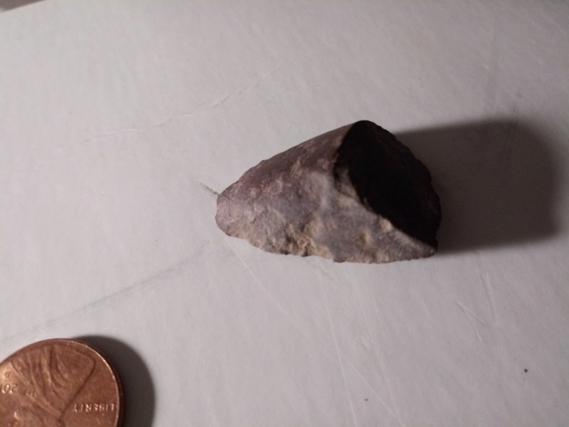 Mesa Arizona figure Stone bear very sharp tool 20191193