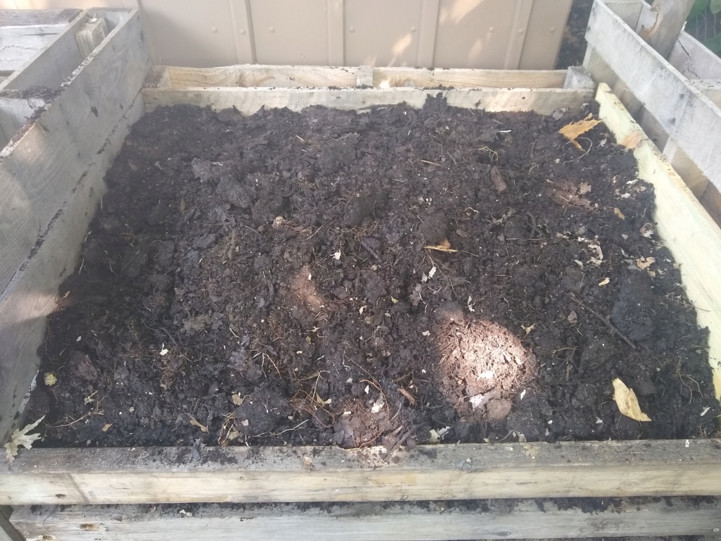 New compost bins X3 Img_2034