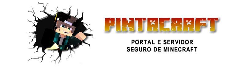 PintaCraft Banner16