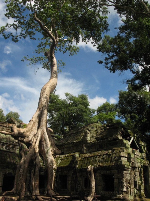 votre avis sur un projet de  séjour à Angkor m'intéresse 2015_c13