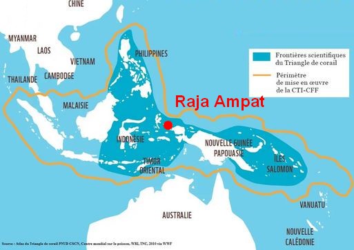 Découvrir l'Indonésie:  les Raja Ampat _trian10