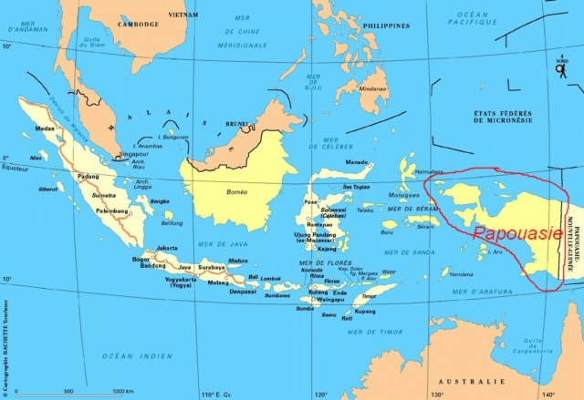 Découvrir l'Indonésie : Papouasie Carte_16