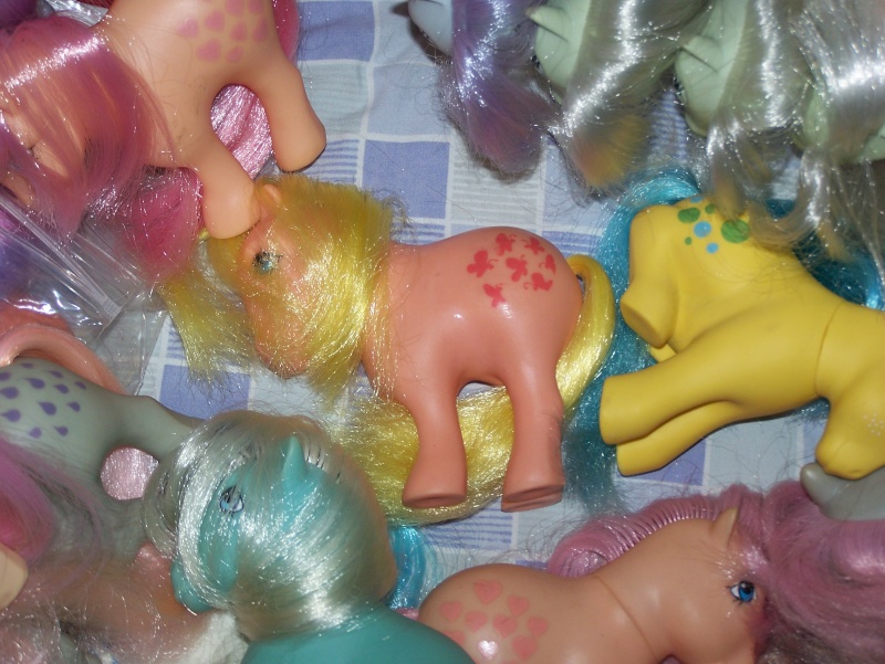 Mon Petit Poney / My Little Pony G1 (Hasbro) 1982/1995 101_5414