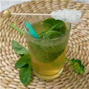 Mojito Citron24