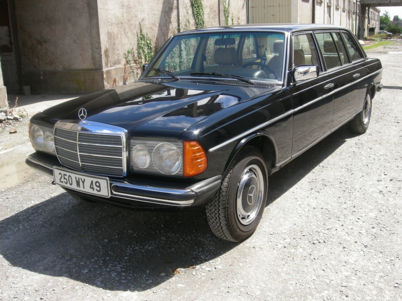 250 limousine W123 Dscn0413