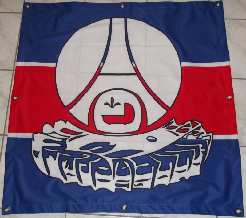 Pins et drapeau Paris Dscf1412
