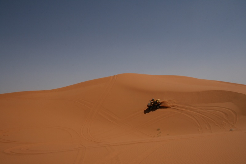 SPECIAL DUNES ET DESERT Img_6516