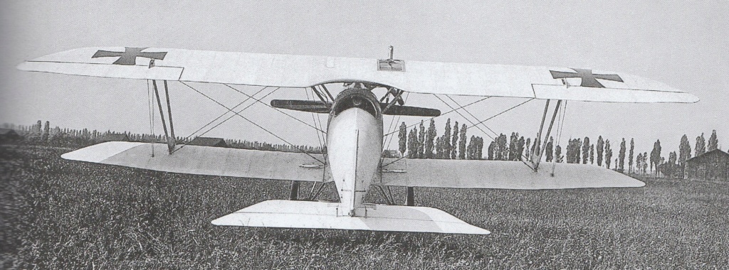 Pfalz D.IIIa busso von Abensleben,  jasta 21, 1918 Pfalz11