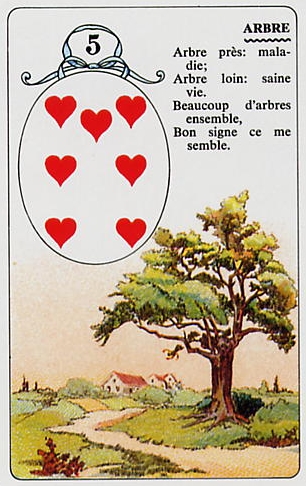 Oracle 1 : le petit lenormand Arbre10