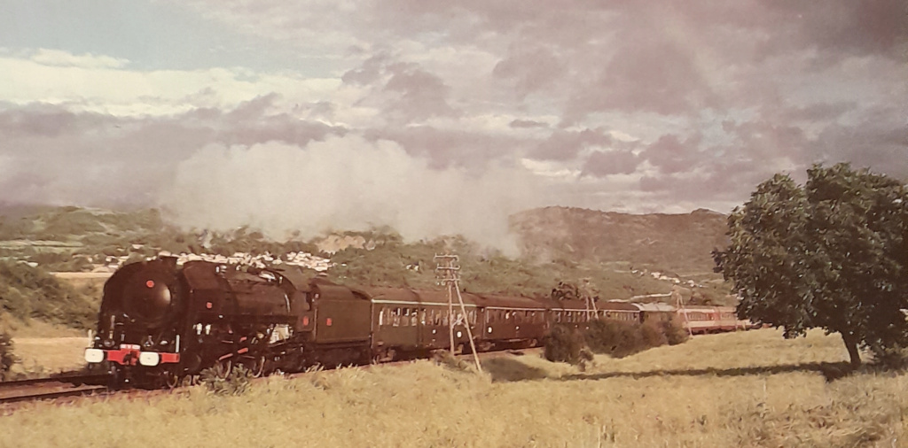 [Arnold] Locomotive à vapeur - 141R - Page 25 Vf13_j10