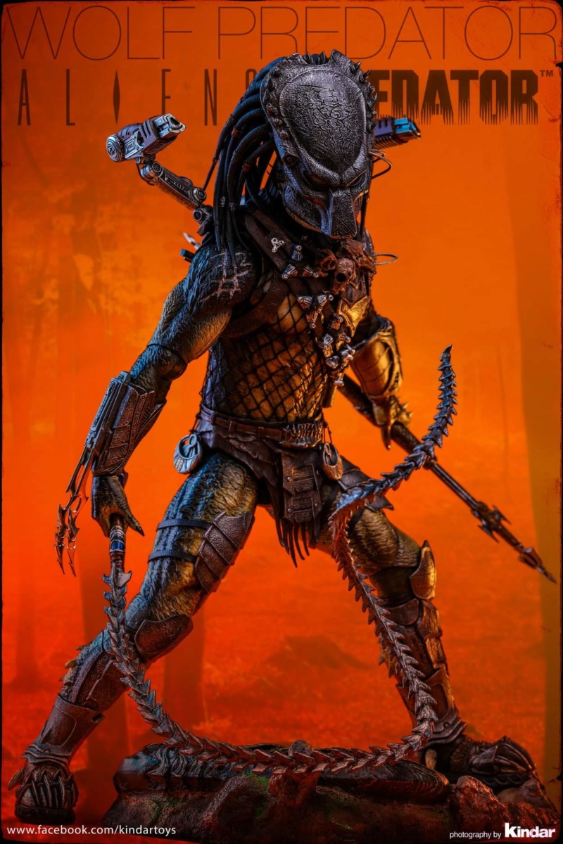 AVP REQUIEM - WOLF PREDATOR 2.0 Fb_im115