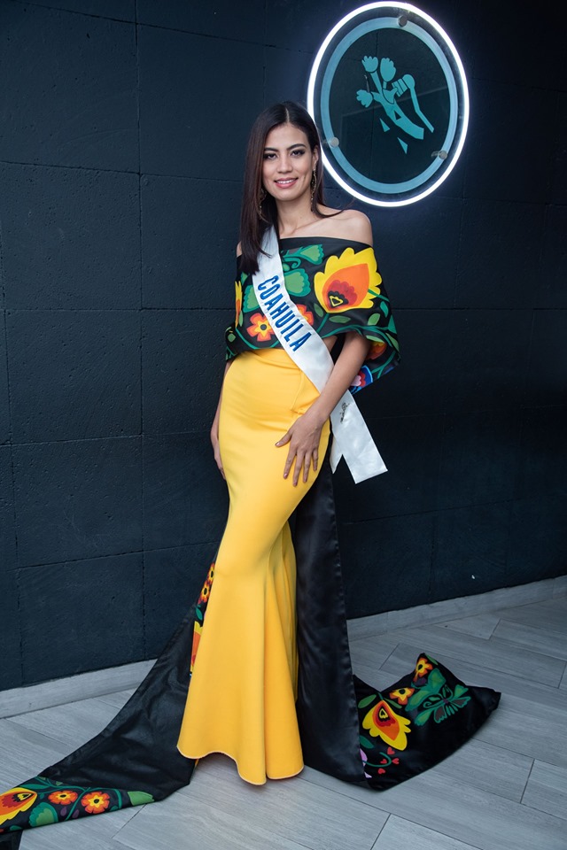 Road to Miss México 2019 - Page 3 11702