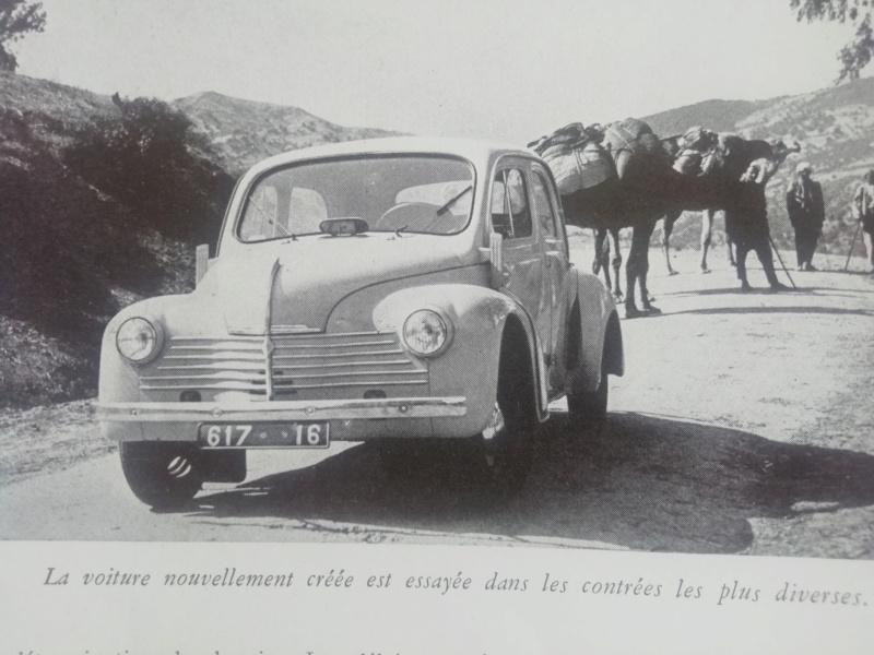 1/20   Renault 4cv    IMAI  Img_1754