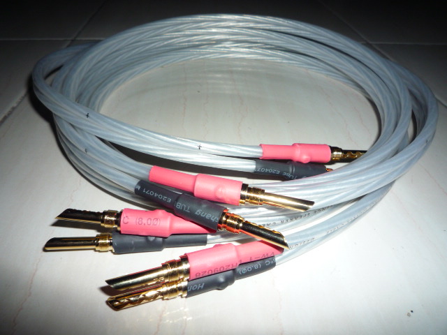 QED XT Evolution Reference speaker cables (New)SOLD P1020111