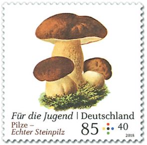 jahre - Ausgaben 2018 Deutschland - Seite 2 1_pilz17